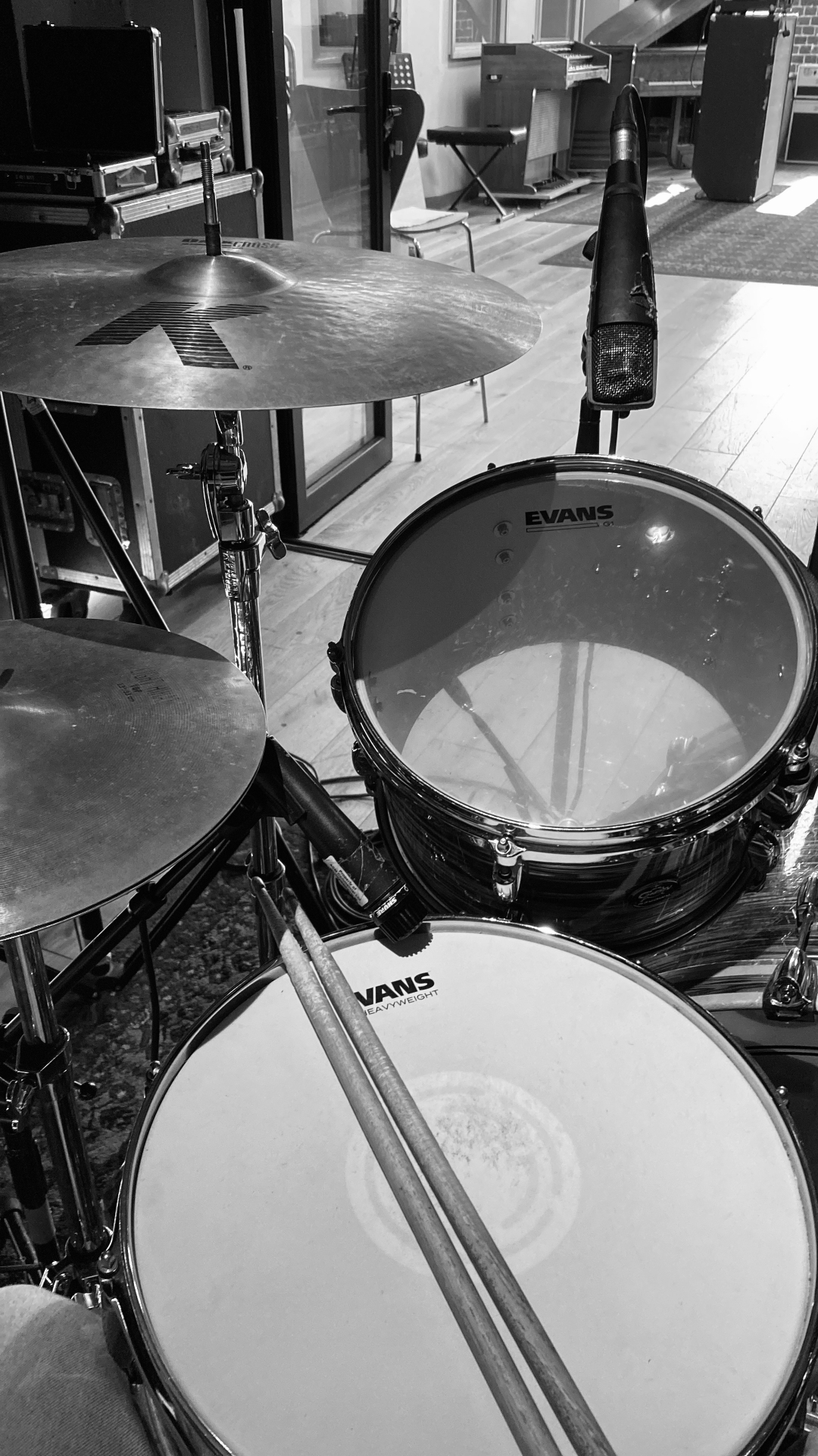 Evans drum heads close up